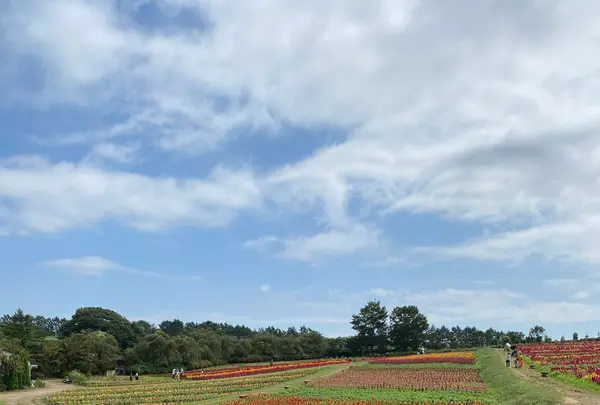 那須フラワーワールドの写真・動画_image_1370307