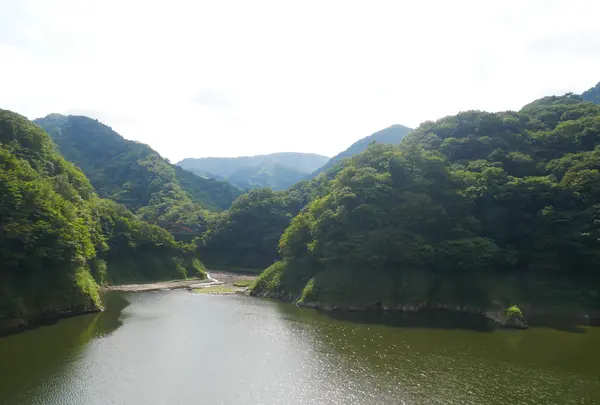 森林の駅　もみじ谷大吊橋の写真・動画_image_1371085