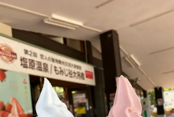 森林の駅　もみじ谷大吊橋の写真・動画_image_1371087