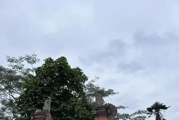 アジアンオールドバザールの写真・動画_image_1371091