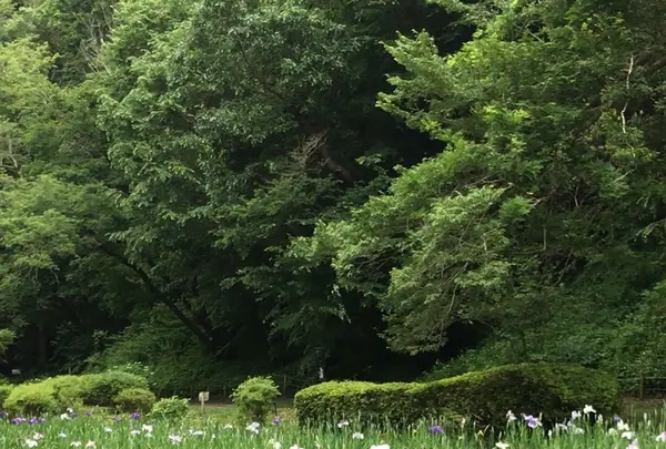 泉自然公園の写真・動画_image_1372094