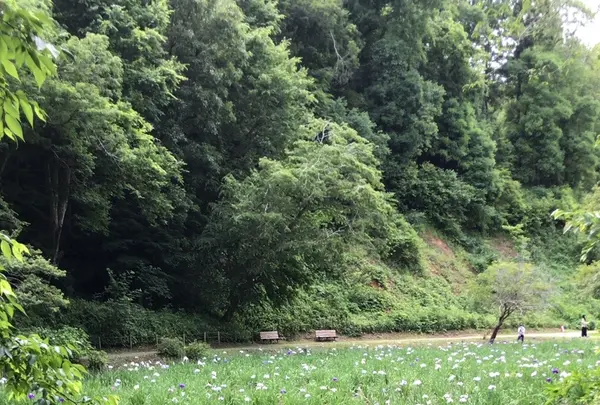 泉自然公園の写真・動画_image_1372095