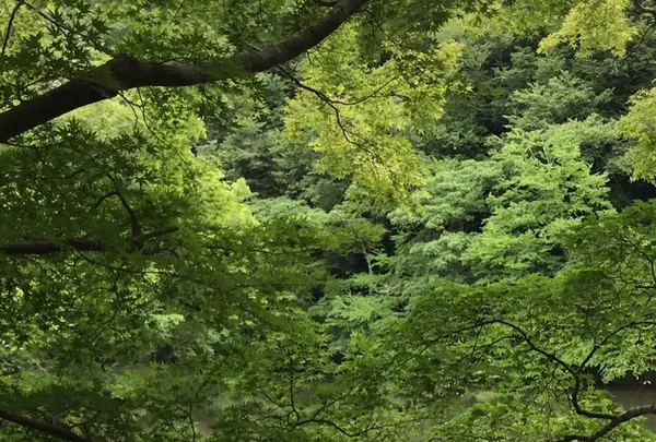 泉自然公園の写真・動画_image_1372142