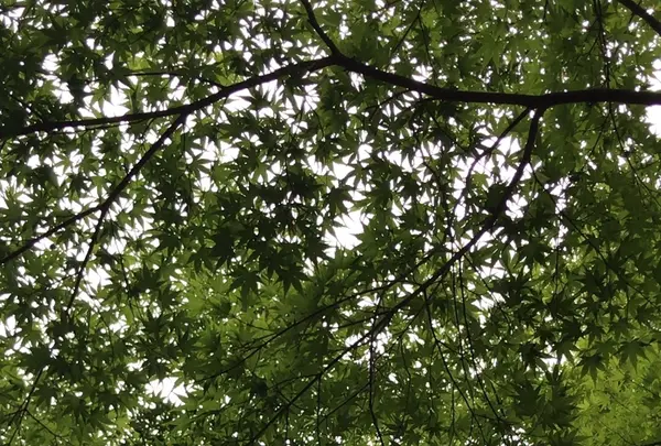 泉自然公園の写真・動画_image_1372143