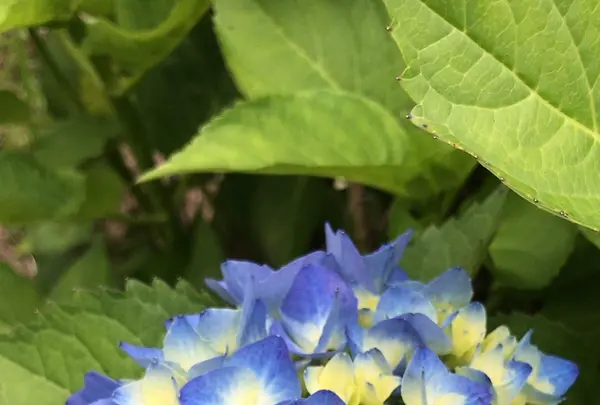 泉自然公園の写真・動画_image_1372147