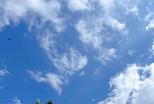 大阪城の写真・動画_image_1374345