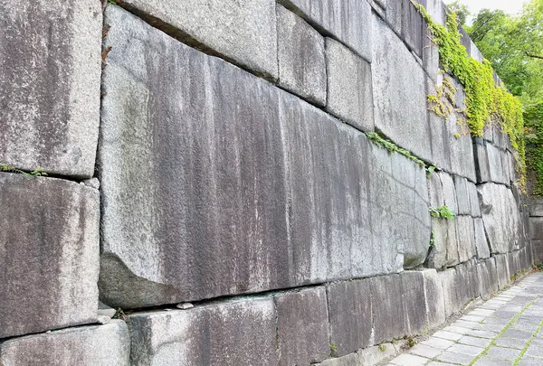 大阪城の写真・動画_image_1374358