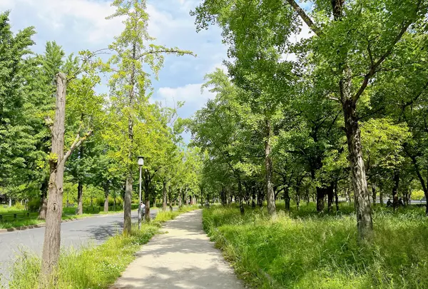 大阪城公園の写真・動画_image_1374444