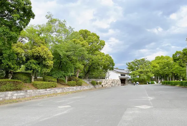 大阪城公園の写真・動画_image_1374466