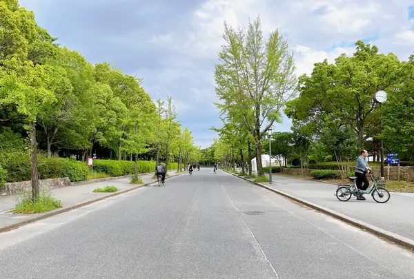 大阪城公園の写真・動画_image_1374468