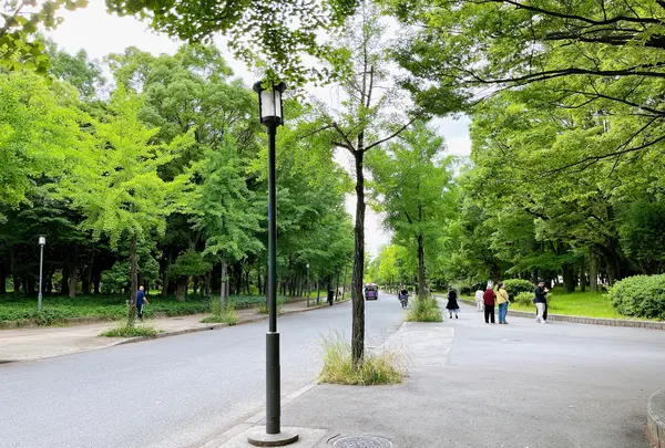 大阪城公園の写真・動画_image_1374482