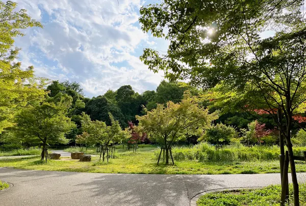 大阪城公園の写真・動画_image_1374493