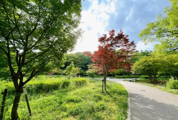 大阪城公園の写真・動画_image_1374495