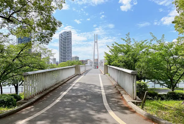 川崎橋の写真・動画_image_1374572