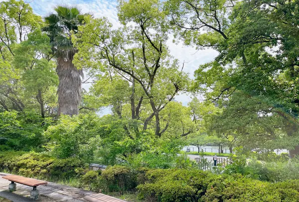 藤田邸跡公園（旧藤田邸庭園）の写真・動画_image_1374612