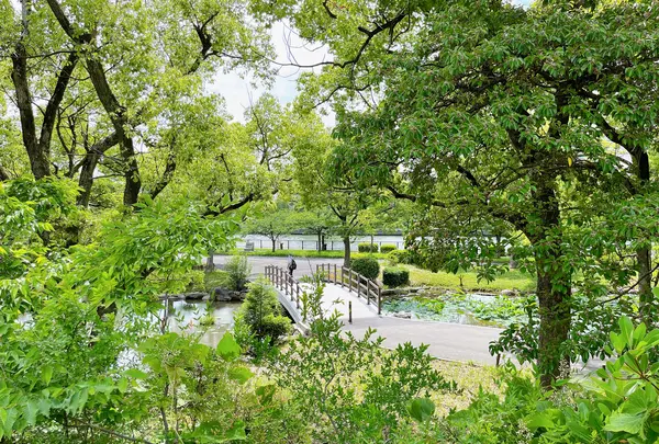 藤田邸跡公園（旧藤田邸庭園）の写真・動画_image_1374613