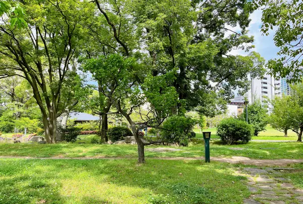 藤田邸跡公園（旧藤田邸庭園）の写真・動画_image_1374614