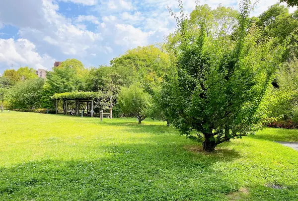 藤田邸跡公園（旧藤田邸庭園）の写真・動画_image_1374617