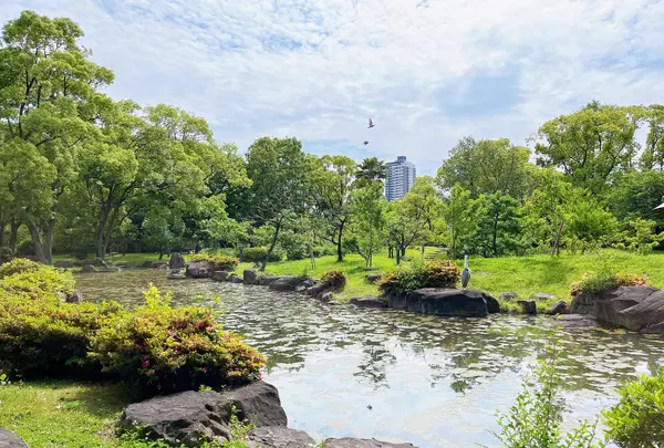 藤田邸跡公園（旧藤田邸庭園）の写真・動画_image_1374620
