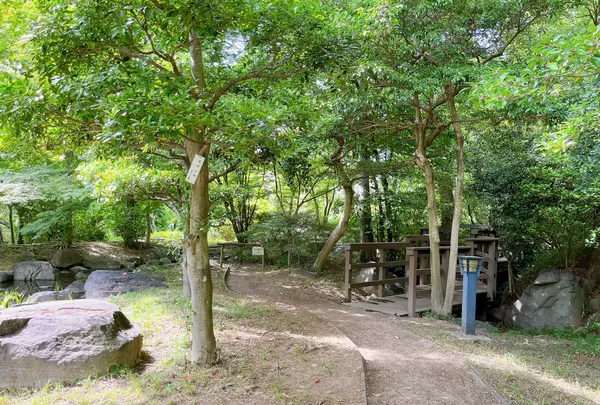 藤田邸跡公園（旧藤田邸庭園）の写真・動画_image_1374621