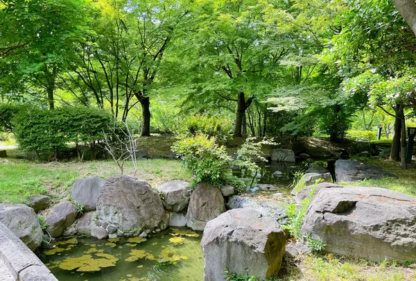 藤田邸跡公園（旧藤田邸庭園）の写真・動画_image_1374622