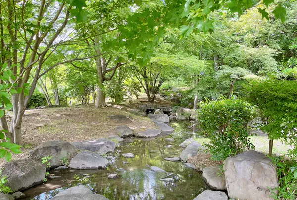 藤田邸跡公園（旧藤田邸庭園）の写真・動画_image_1374623