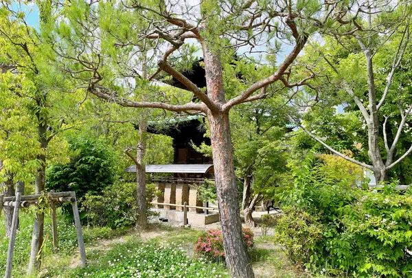 藤田邸跡公園（旧藤田邸庭園）の写真・動画_image_1374628