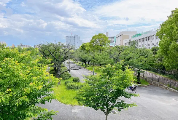 毛馬桜之宮公園の写真・動画_image_1374634