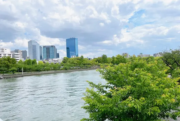 毛馬桜之宮公園の写真・動画_image_1374635