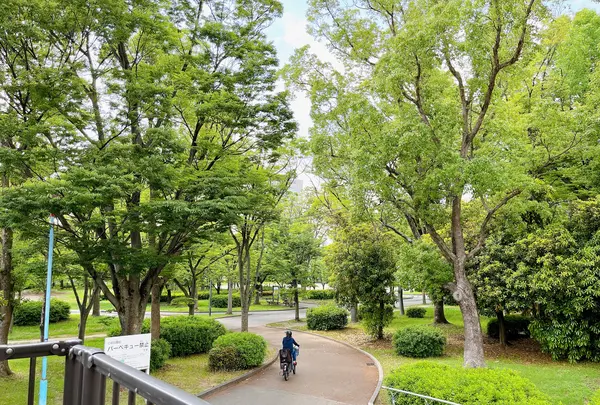 毛馬桜之宮公園の写真・動画_image_1374637