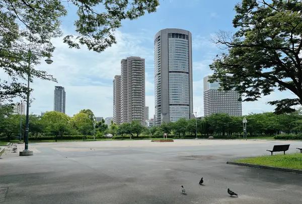 毛馬桜之宮公園の写真・動画_image_1374638