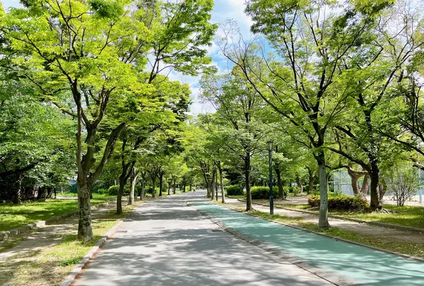 毛馬桜之宮公園の写真・動画_image_1374644