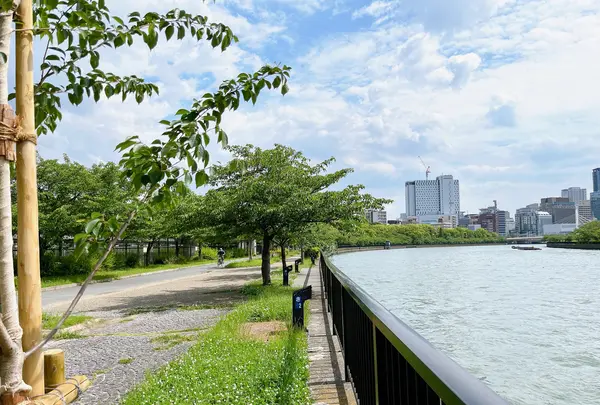 毛馬桜之宮公園の写真・動画_image_1374645