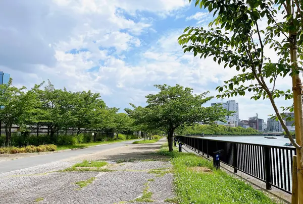 毛馬桜之宮公園の写真・動画_image_1374646