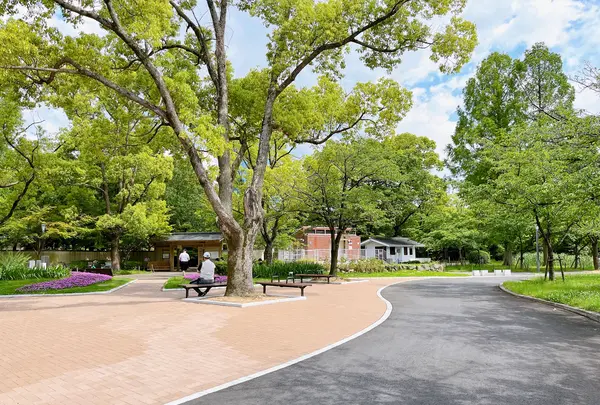 毛馬桜之宮公園の写真・動画_image_1374647