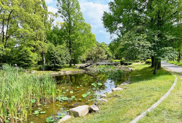 毛馬桜之宮公園の写真・動画_image_1374650