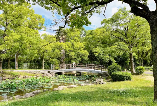 毛馬桜之宮公園の写真・動画_image_1374651