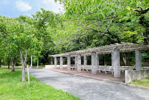 毛馬桜之宮公園の写真・動画_image_1374652