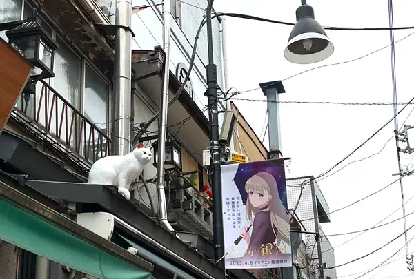 谷中ぎんざ（谷中銀座商店街）の写真・動画_image_1374774