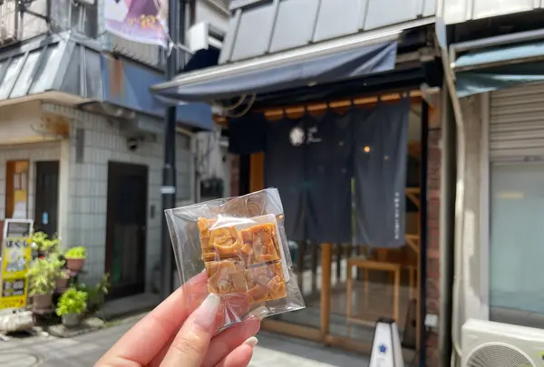 谷中ぎんざ（谷中銀座商店街）の写真・動画_image_1374776