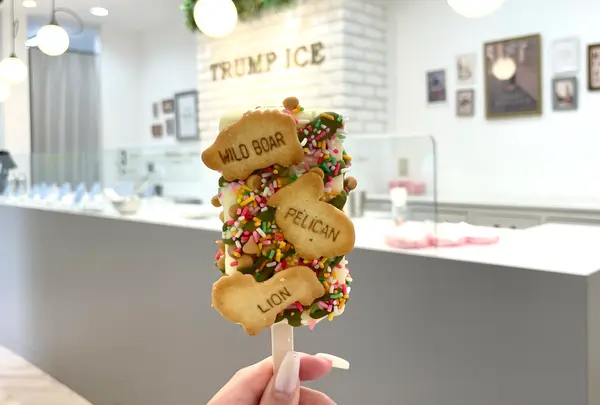 TRUMP ICEの写真・動画_image_1374891