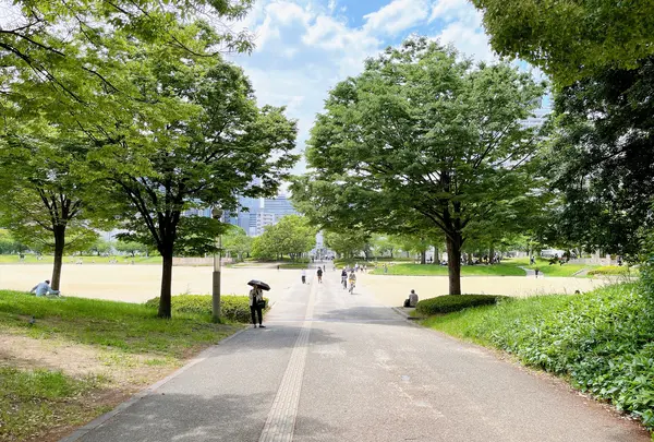 扇町公園の写真・動画_image_1374930