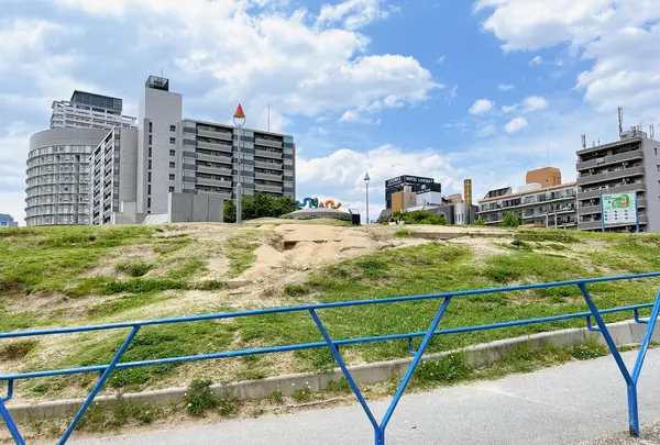 扇町公園の写真・動画_image_1374931