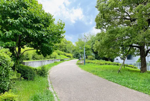 扇町公園の写真・動画_image_1374941