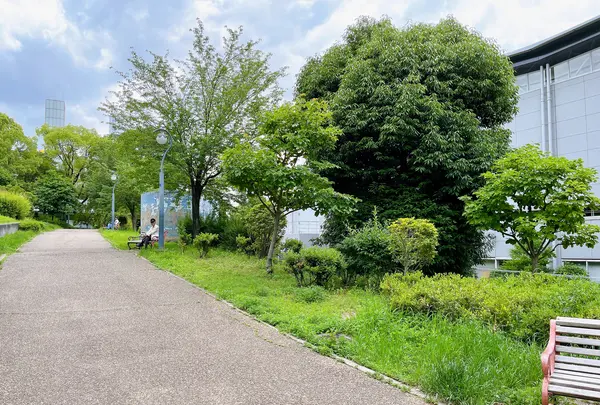 扇町公園の写真・動画_image_1374942
