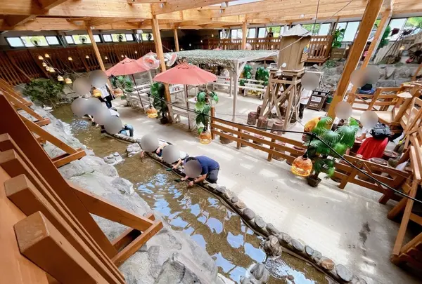 宝石探し トレジャーストーンパークの写真・動画_image_1375497