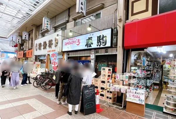 春駒（はるこま）の写真・動画_image_1375660