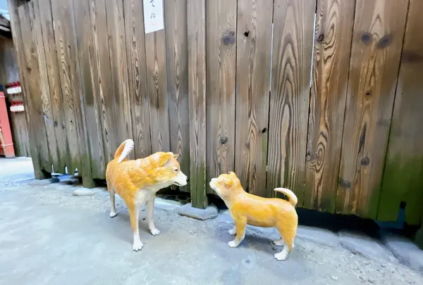 大阪市立住まいのミュージアム 大阪くらしの今昔館の写真・動画_image_1375699