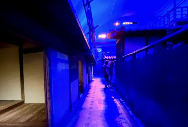 大阪市立住まいのミュージアム 大阪くらしの今昔館の写真・動画_image_1375718