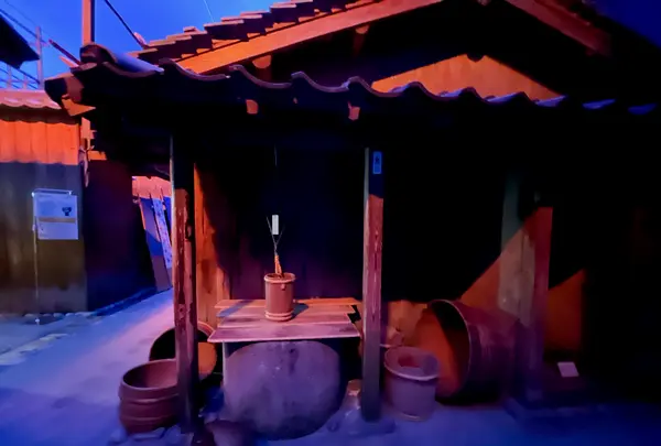 大阪市立住まいのミュージアム 大阪くらしの今昔館の写真・動画_image_1375720